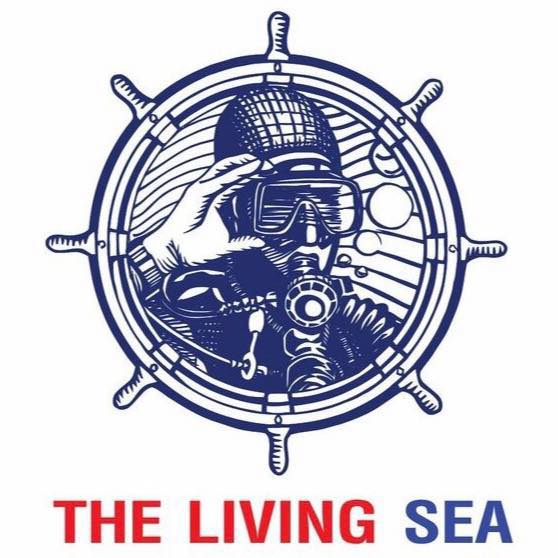 Shop : The Living Sea Diving Center